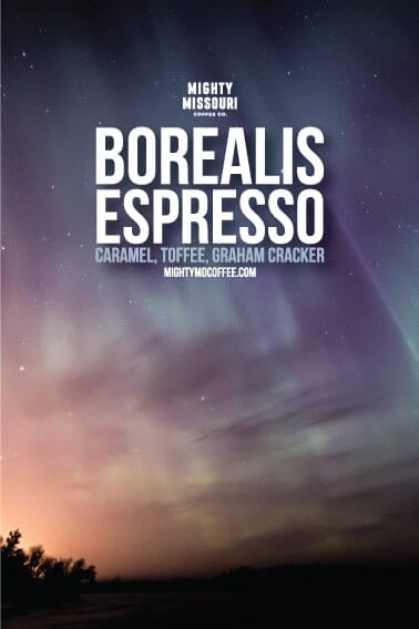 Borealis Espresso // Blend // Medium - Image 2