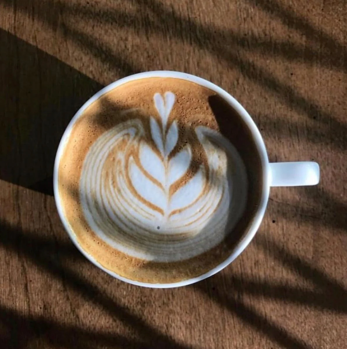 Borealis Espresso // Blend // Medium - Image 3