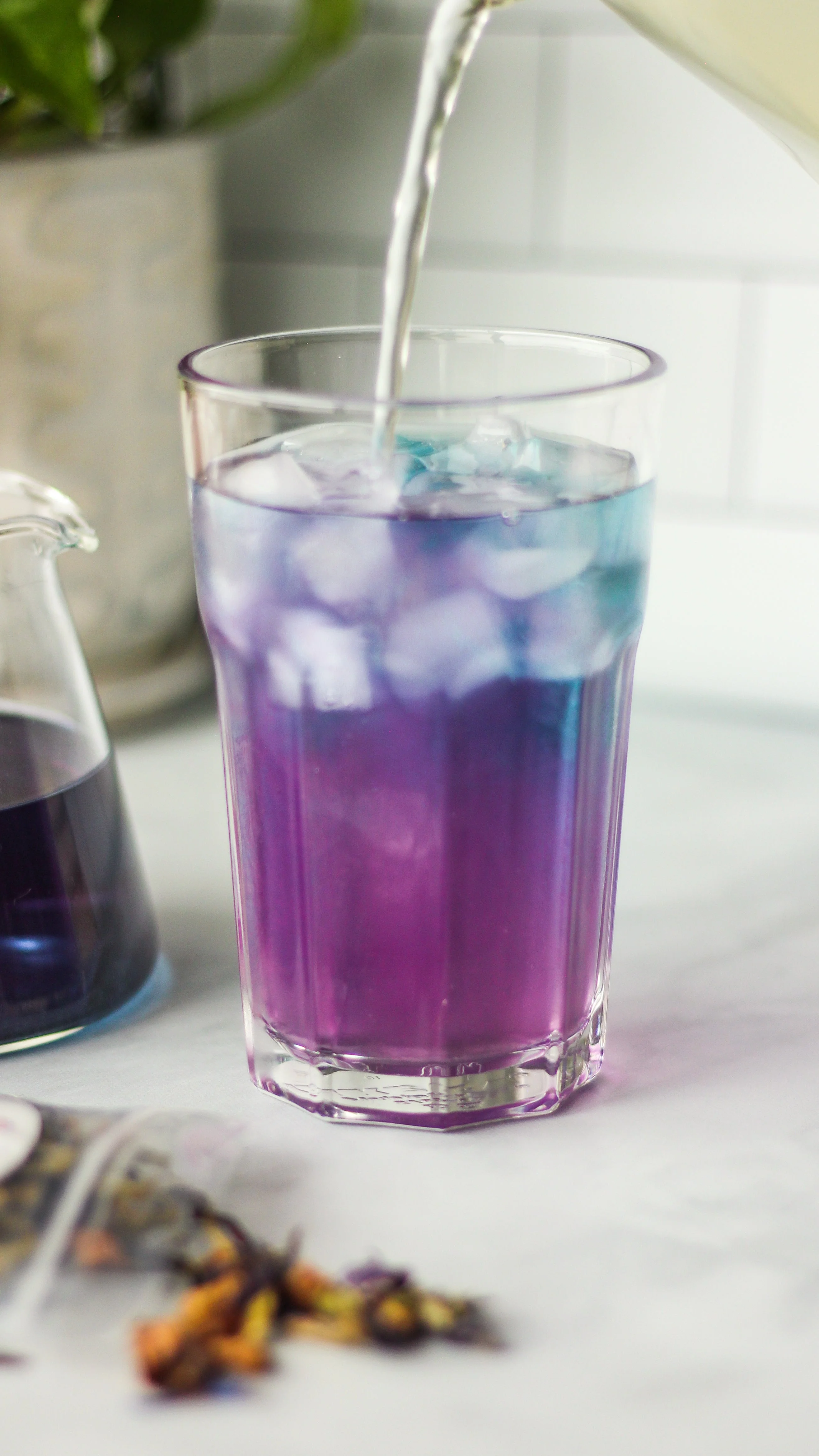 Butterfly Pea Sampler Kit - Image 3
