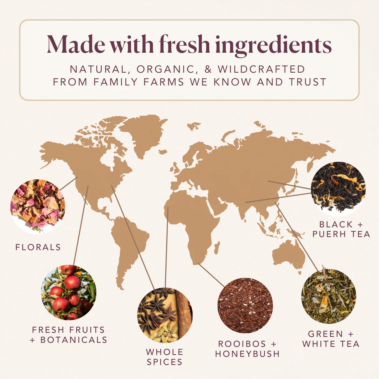 Chocolate Hazelnut Dessert Tea - Image 4