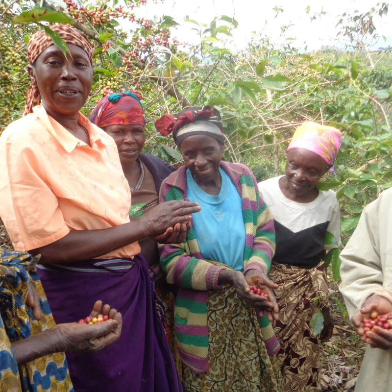 Ejo Heza's Rwanda | Medium-Light Roast - Image 4