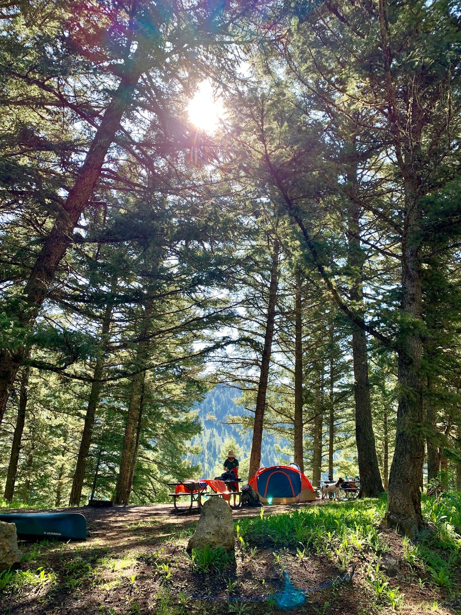 Happy Camper - Image 4