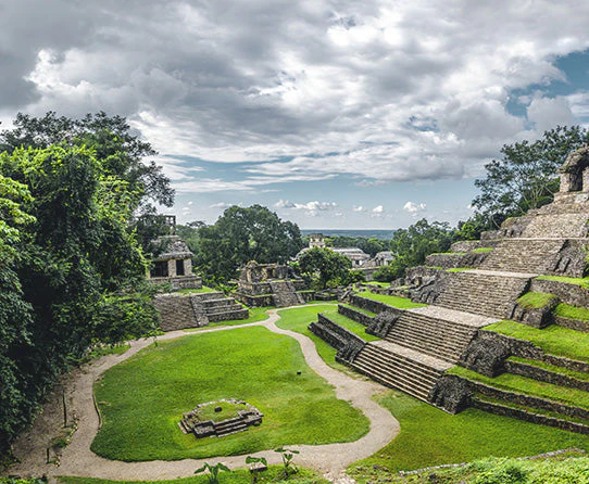 Mayan Water Half-Caff