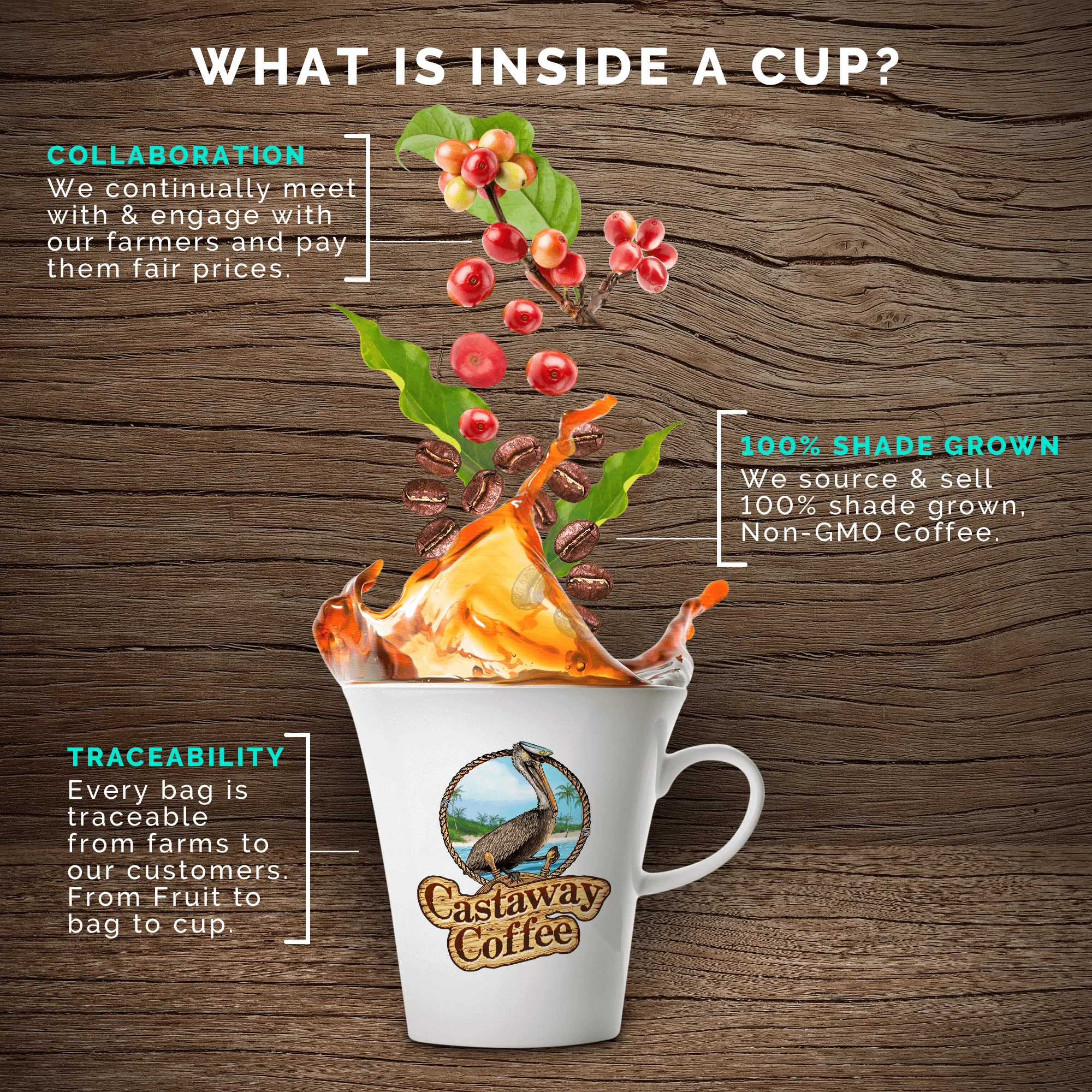 Monsoon Malabar Coffee Blend - Image 7
