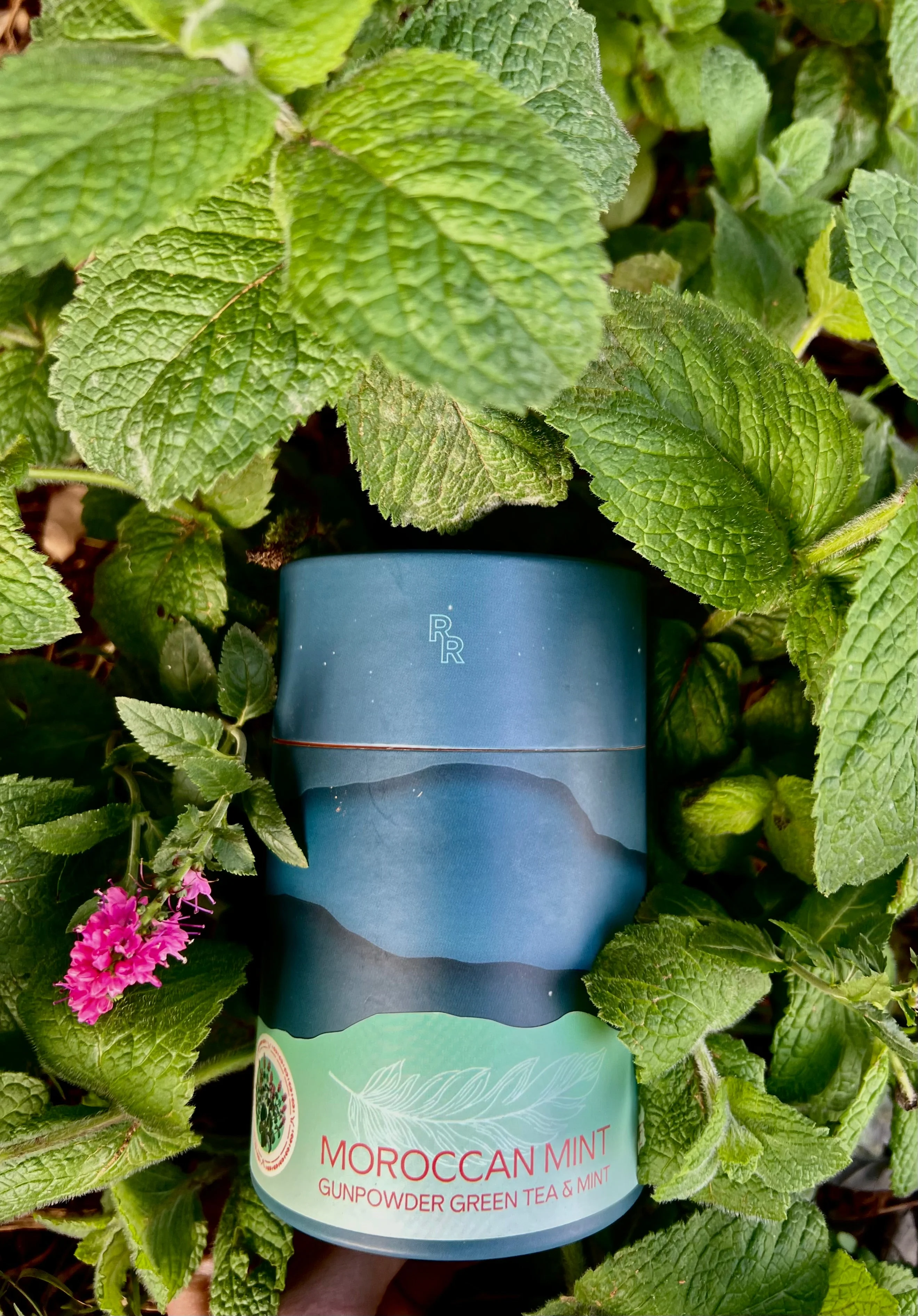 Moroccan Mint - Image 4