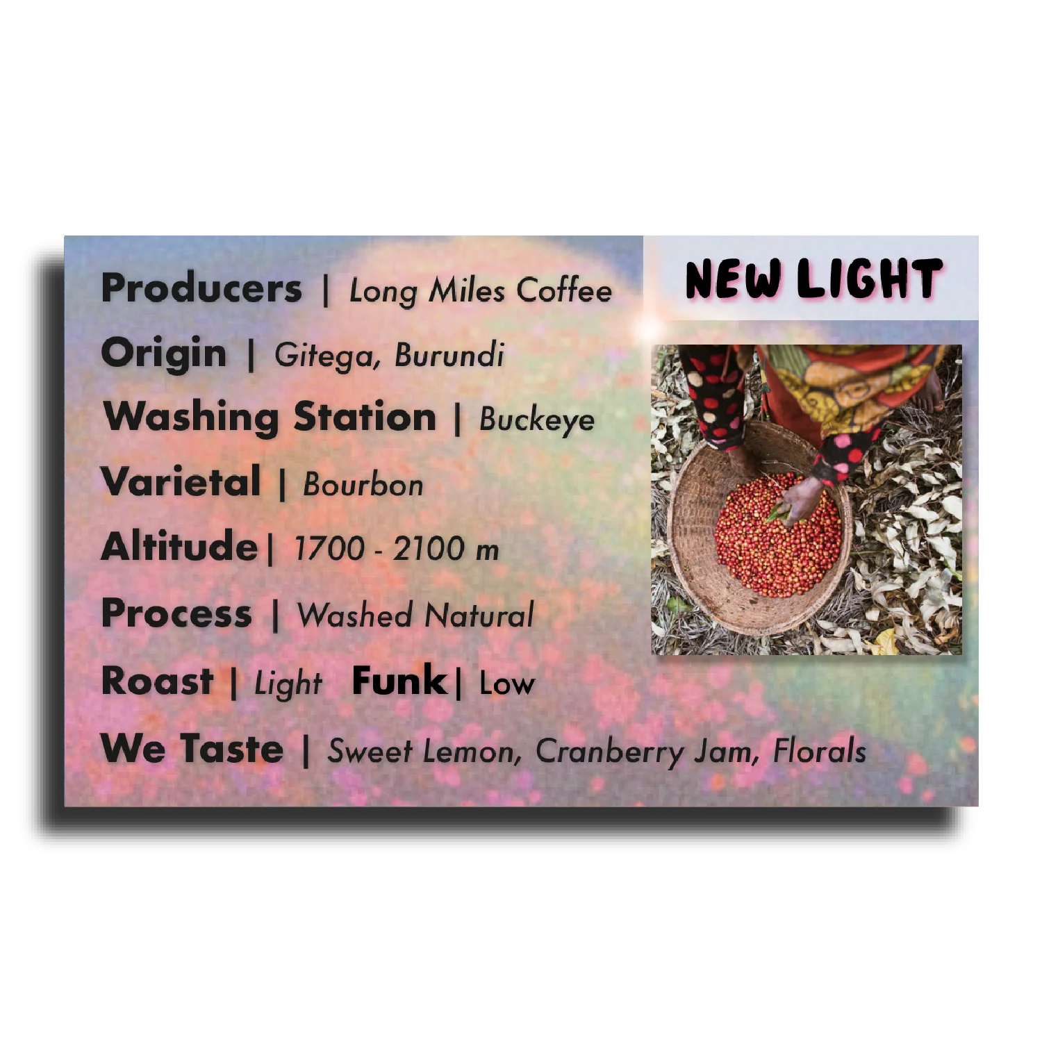 New Light - Image 3